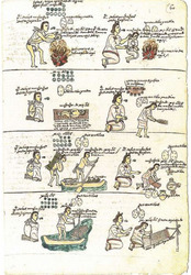 Gender Roles among the Nahua in the Codex Mendoza [Painting]