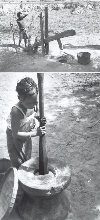Children Working in a Village [Photographs]